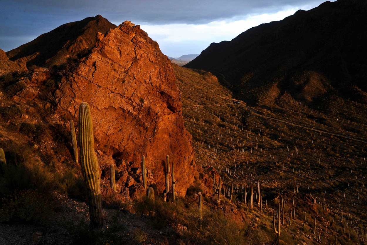 Scenics_0010.jpg Scenic Photography az,arizona,nature,cacti,desert,landscapes,scenic,sunset,