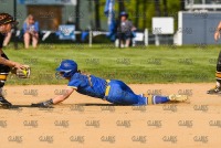 05/20/2021 - New Haven Softball vs Adelphi - NCAA East Regional