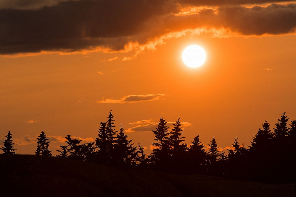 Acadia_NP_20170825_CS1_0907.jpg Scenic Photography Acadia,Acadia National Park,Clarus Studios Inc.,MDI,Mount Desert Island,National Park,www.clarusstudios.com,