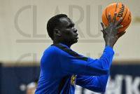 03/04/2023 - New Haven MBB vs St. Anselm - NE10 Championship