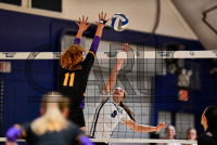 230929_orazzi_volleyball_0118.jpg 09/29/2023 - Conn College Volleyball Â©Mike Orazzi,@mikeorazzi,sports,www.mikeorazzi.com,