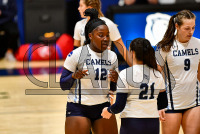 230929_orazzi_volleyball_0226.jpg 09/29/2023 - Conn College Volleyball Â©Mike Orazzi,@mikeorazzi,sports,www.mikeorazzi.com,