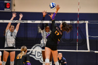 230929_orazzi_volleyball_0026.jpg 09/29/2023 - Conn College Volleyball Â©Mike Orazzi,@mikeorazzi,sports,www.mikeorazzi.com,