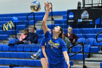 11/11/2023 - New Haven Volleyball vs St Michaels - Senior Day