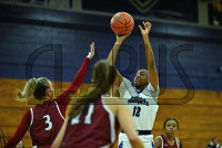 BridgeportWBB_vs_Molloy_20231115_CM0_0047.jpg 11/15/2023 - Bridgeport Womens Basketball vs Molloy Bears,Bloomfield,Bloomfield Bears,Bridgeport,CACC,Central Athletic Collegiate Conference,Clarus Multimedia Group,Clarus Studios,D2,DII,Knights,NCAA,New England,