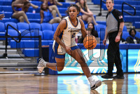 12/05/2023 - New Haven Womens Basketball vs Adelphi