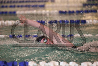 ConnCollegeSwim_20231209_CM0_0182.jpg 12/09/2023 - Conn College Swimming CC,Camels,Clarus Studios,Conn College,Connecticut,Connecticut College,Connecticut College Camels,DIII,Lott Natorium,NESCAC,New England,New London,Swimming,