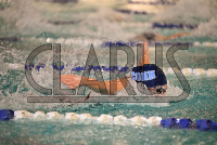 ConnCollegeSwim_20231209_CM0_0342.jpg 12/09/2023 - Conn College Swimming CC,Camels,Clarus Studios,Conn College,Connecticut,Connecticut College,Connecticut College Camels,DIII,Lott Natorium,NESCAC,New England,New London,Swimming,