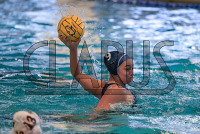 IMG_3098_Daniel_Saunders.jpeg 03/13/2024 - Conn College Womens Water Polo 