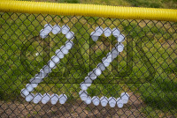 DSC_7256_Dan_saunders.jpg 04/27/2024 - New Haven Women's Lacrosse Senior Day 