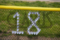 DSC_7260_Dan_saunders.jpg 04/27/2024 - New Haven Women's Lacrosse Senior Day 
