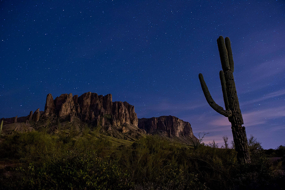 AZ_Scenics_0009.jpg Scenic Photography AZ,Apache Junction,Arizona,Cacti,Lost Dutchman State Park,Saguaro Cactus,Superstition Mountains,Tonto National Forest,