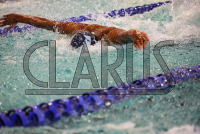 SWIM_Colby_College_and_Connecticut_College_20250120_0215.jpg 01/20/2025 - Conn College Swimming Colby College,College Swimming,Connecticut College,NCAA Swimming,NESCAC,