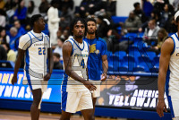 250208_orazzi_UNH_MBB_7392_Mike_Orazzi.jpg 02/08/2025 - New Haven Mens Basketball vs AIC Basketball,College Sports,Connecticut,New Haven,University of New Haven,sports,women,
